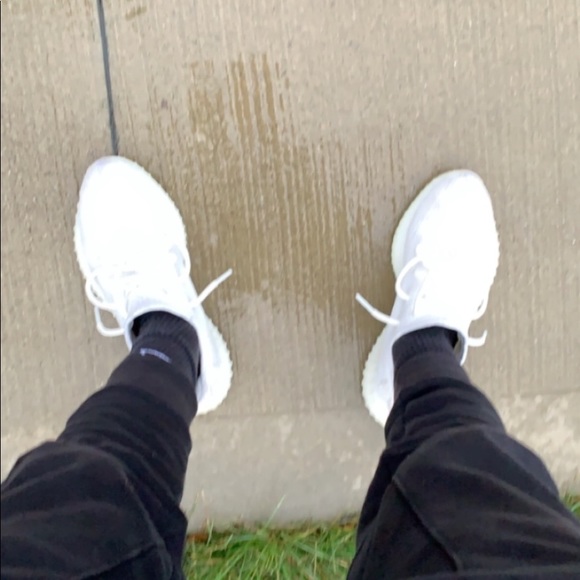 Meet your Posher, Rocco - Picture 1 of 1